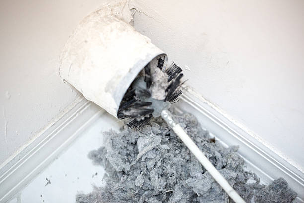 Best Air Duct Mold Removal  in North Miami, FL